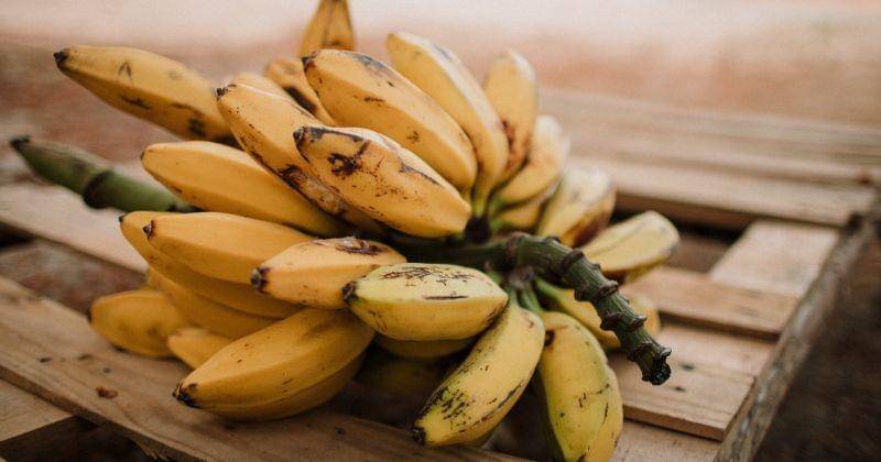 Pexels/Luis Quintero